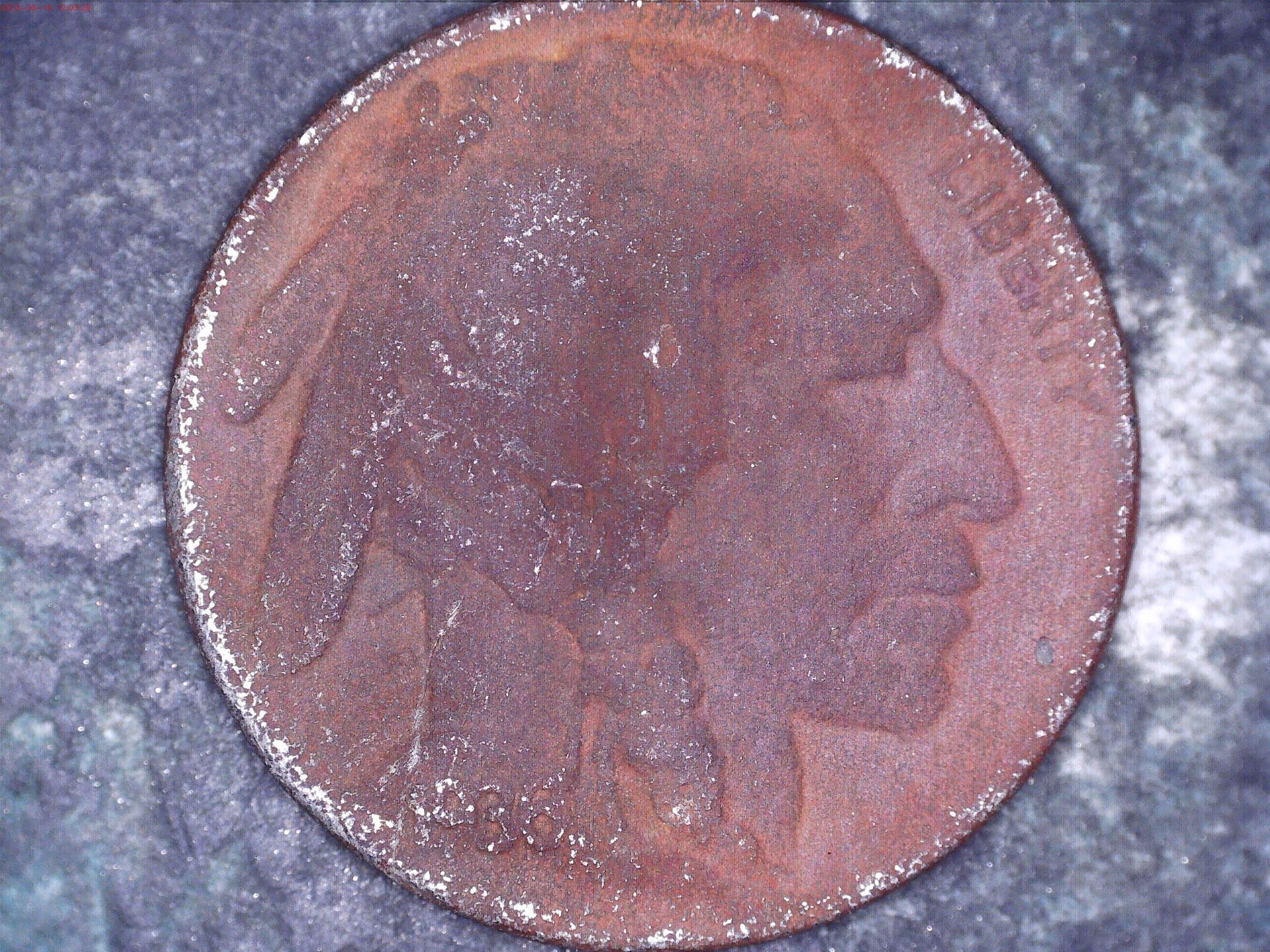 Obverse.jpg