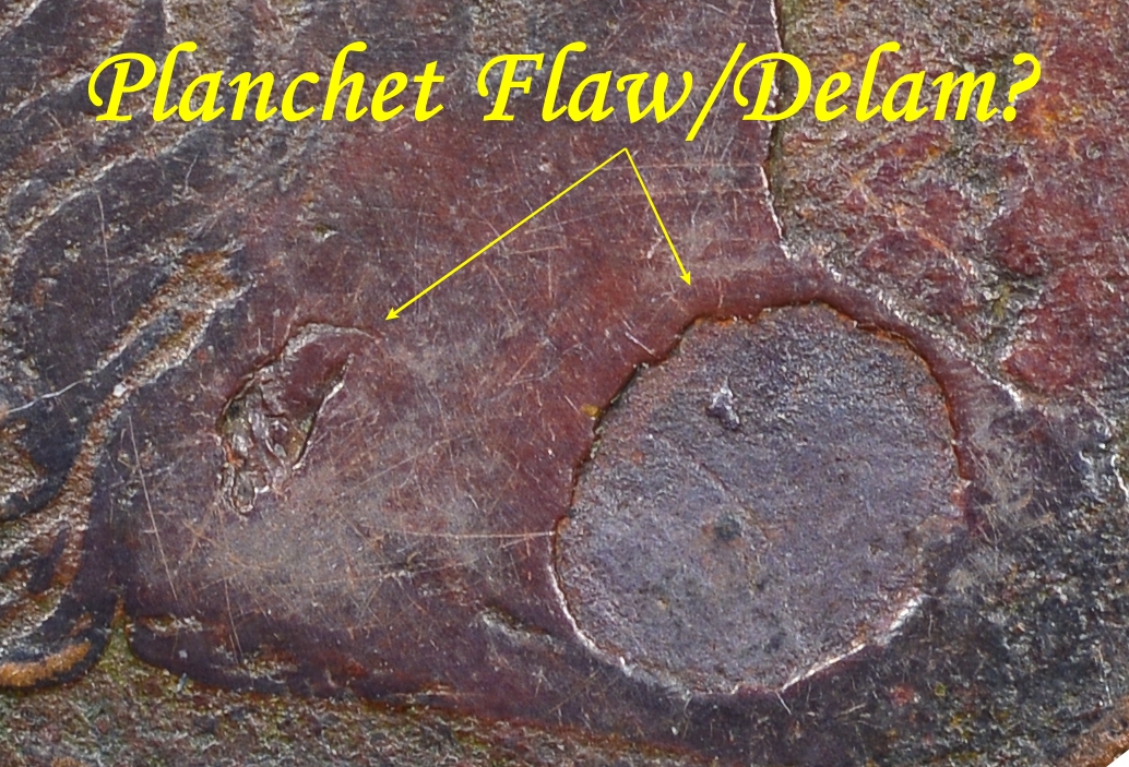 Obverse Planchet Flaw.jpg