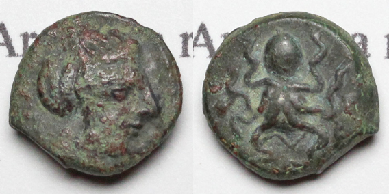 Octopus Coin.jpg