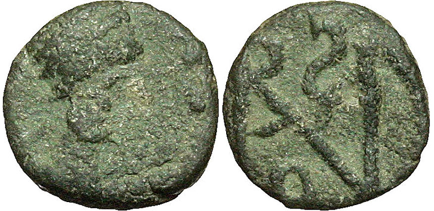 odovacar-11490.jpg