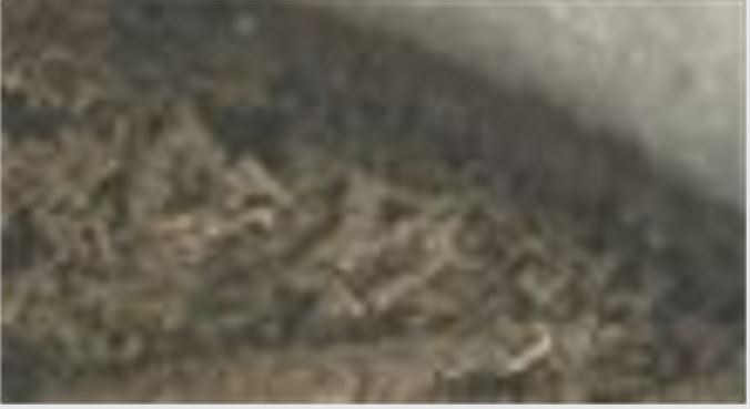 of56wing.JPG