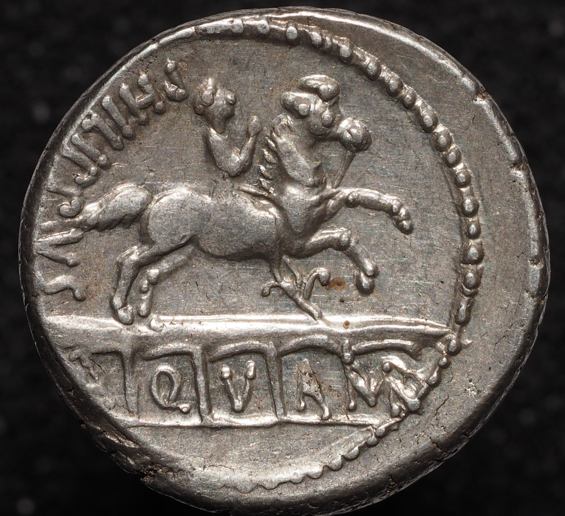 OI000280.JPG