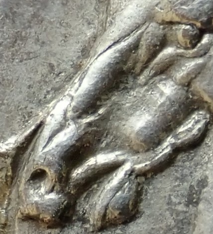 OIP00023 - Copy.jpg