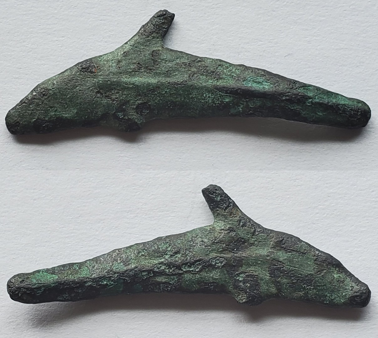 Olbia early large dolphin money.jpg