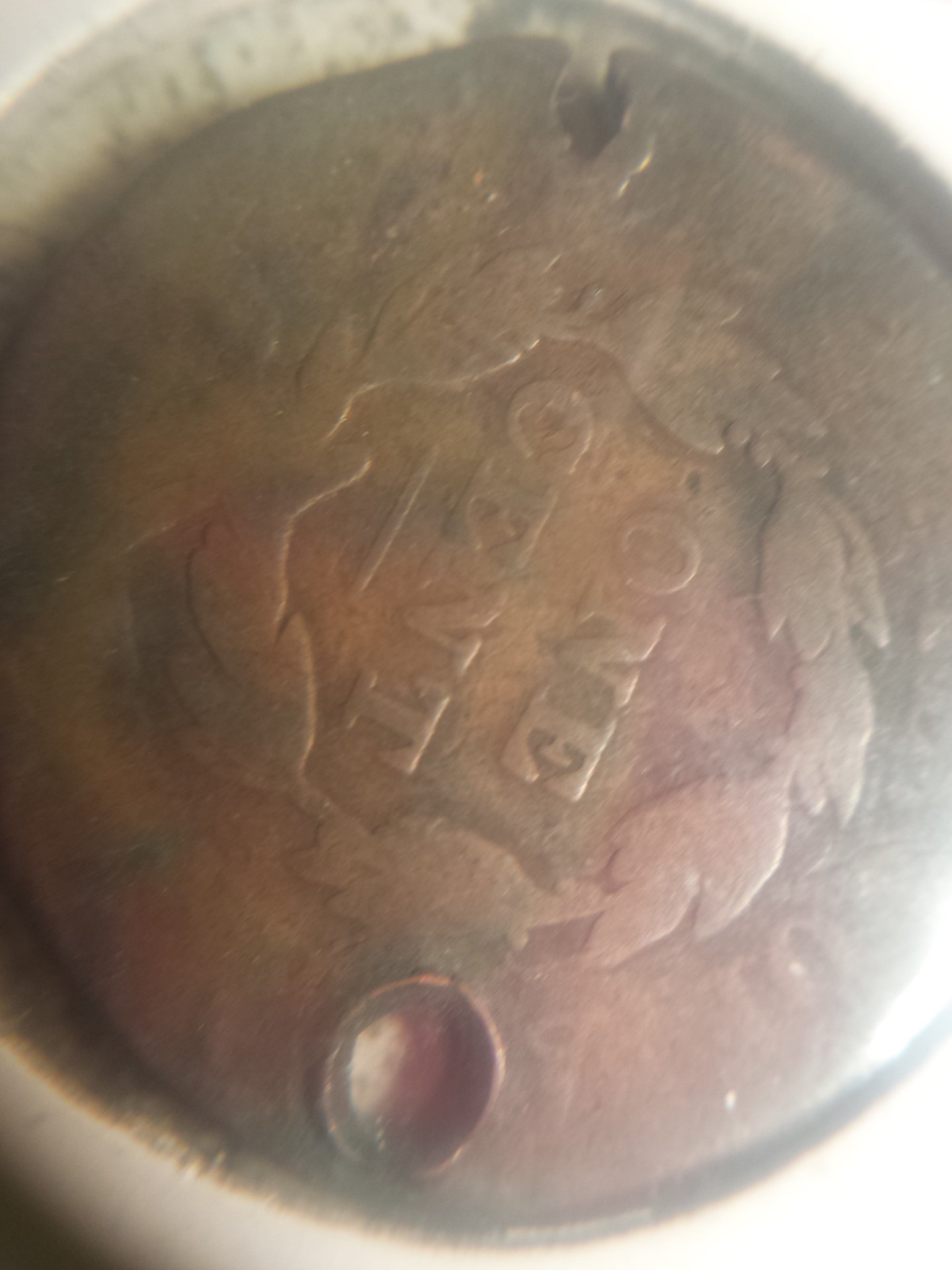 oldest 009.jpg