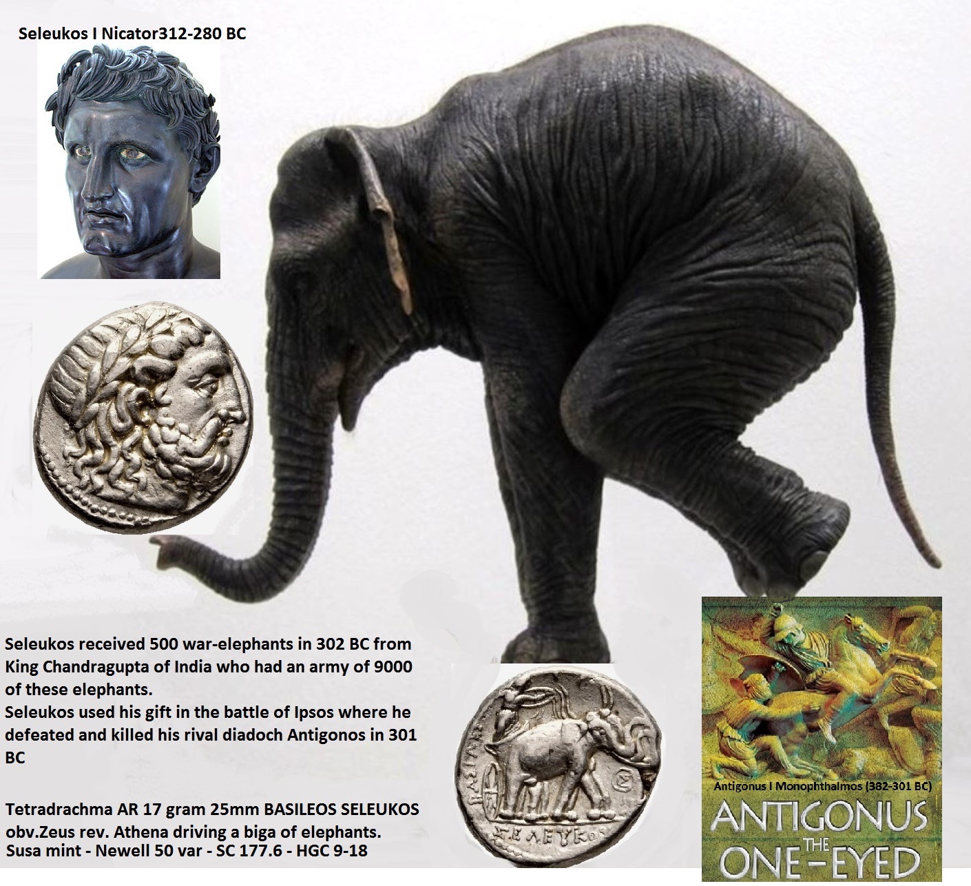 olifant op bal 2.jpg