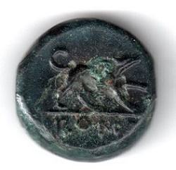 one half litra002.jpg
