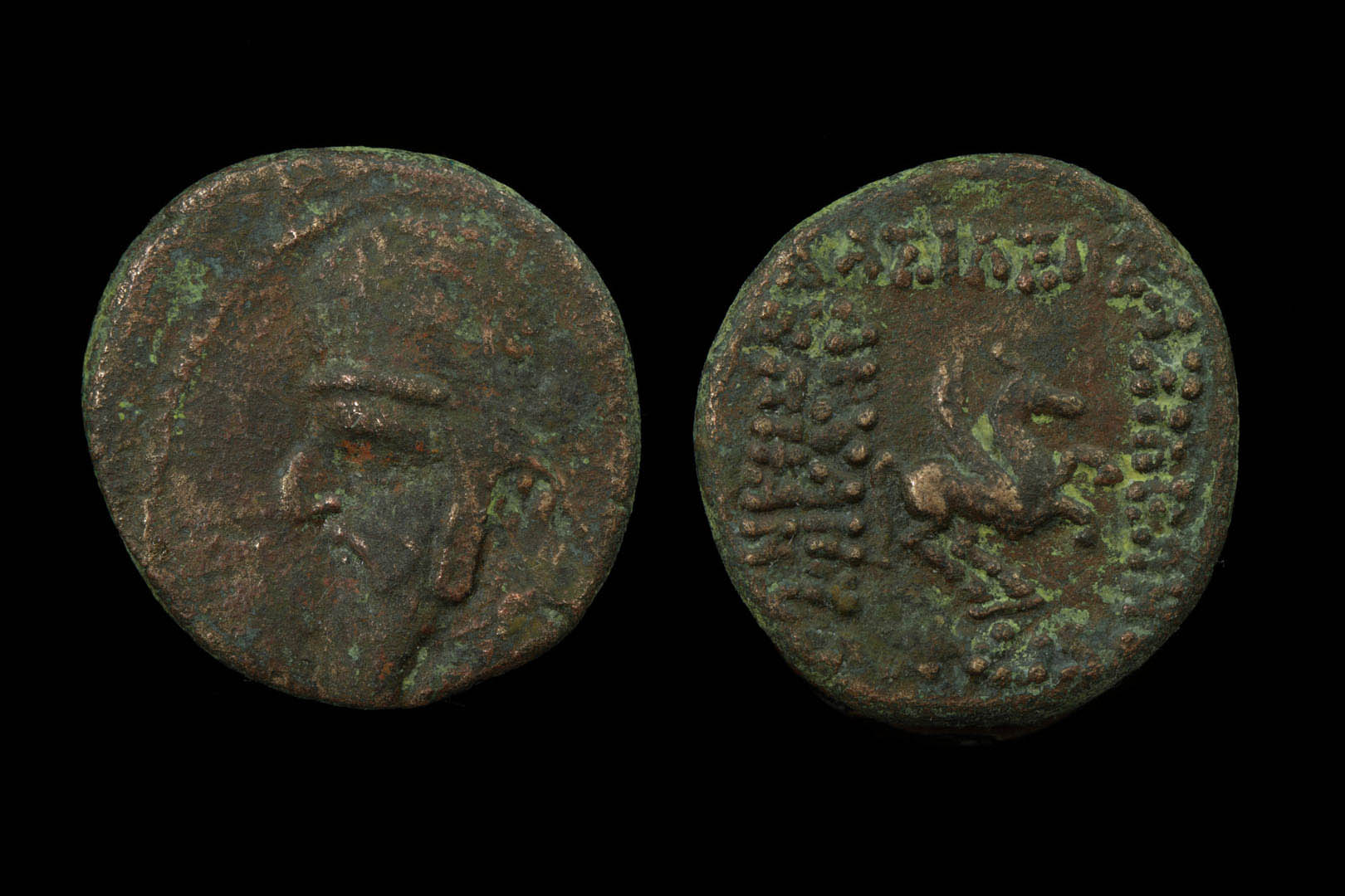 op0072fd1752.jpg