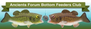 Optimized-bfbanner-3.jpg