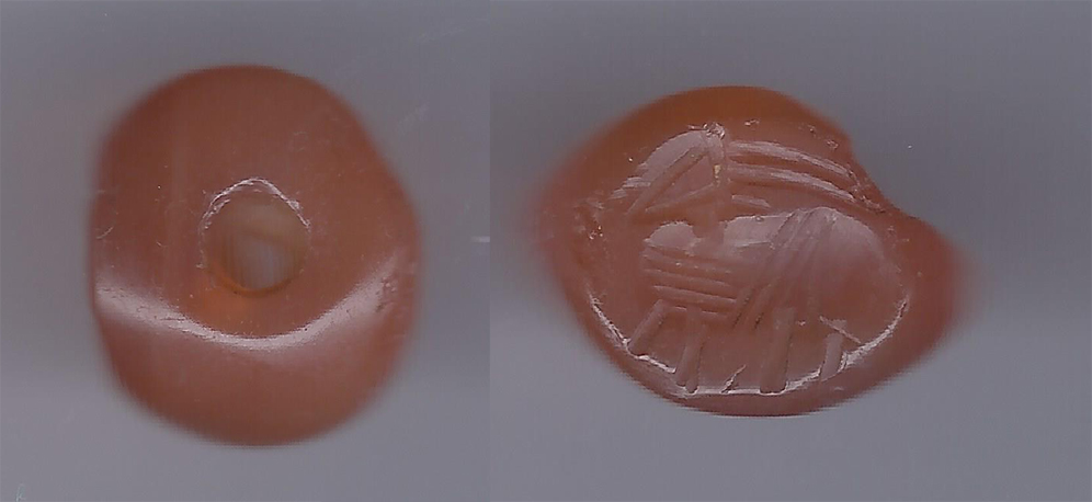 orange signet joined for web.jpg