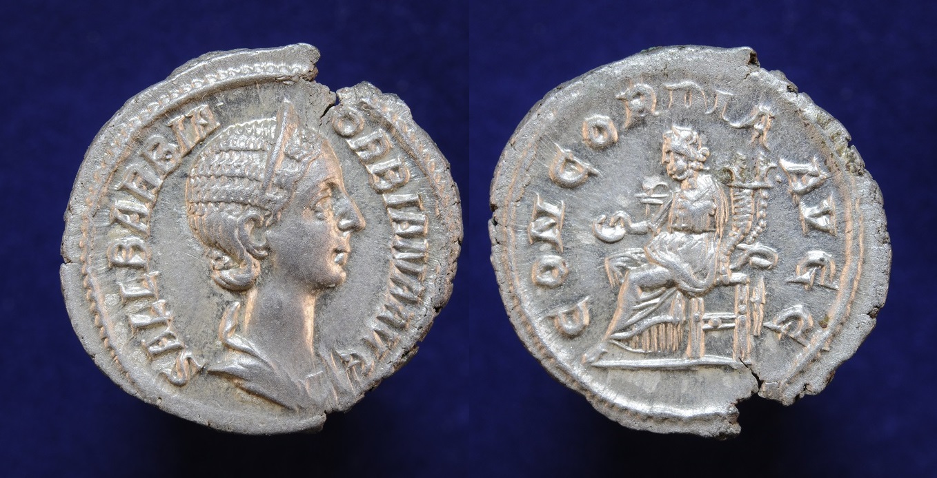 orbiana3.JPG