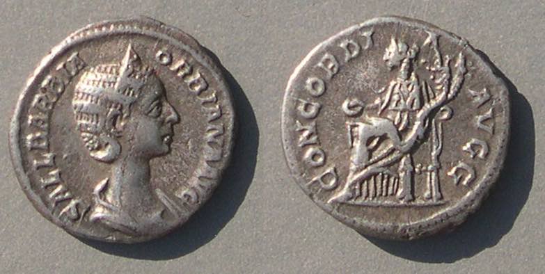 OrbianaCONCORDIAAVGG8484.jpg