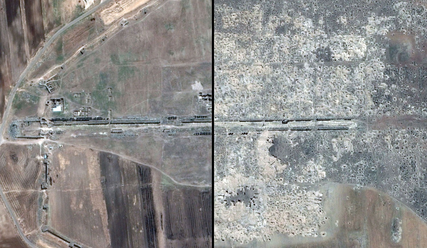 original Apamea.jpg