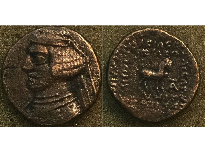 Orodes II AE horse.jpg