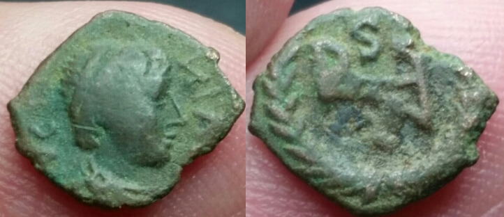 Ostrogoths Athalaric nummus.jpg