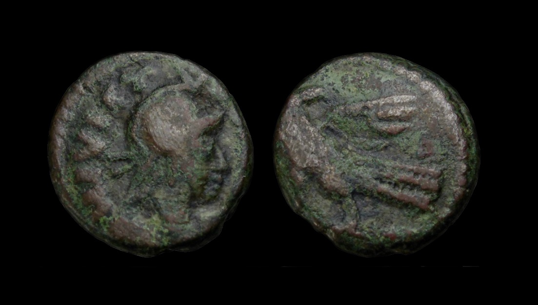 OstrogothsEagle.jpg