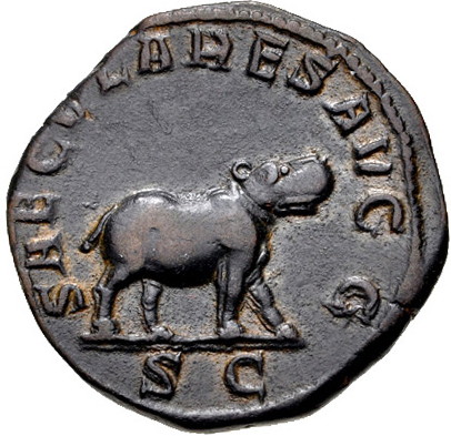 Otac Hippo b.jpg