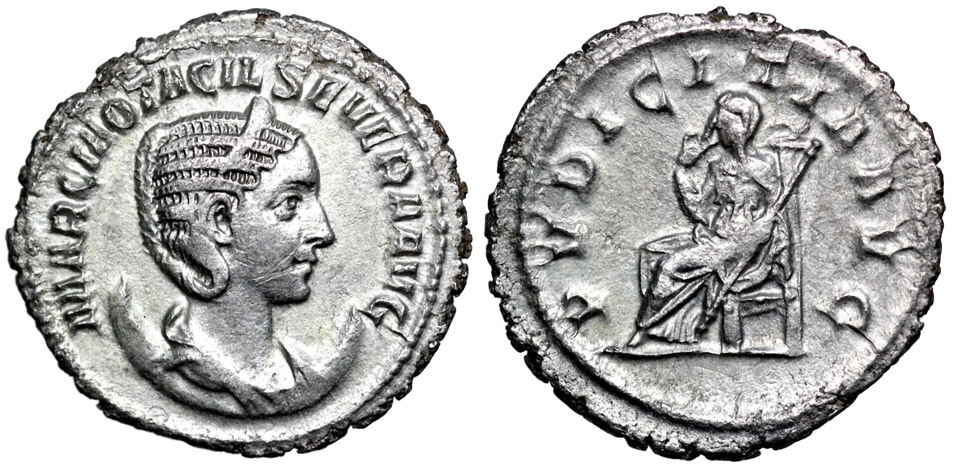 Otacilia.jpg