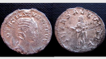 Otacilia.jpg