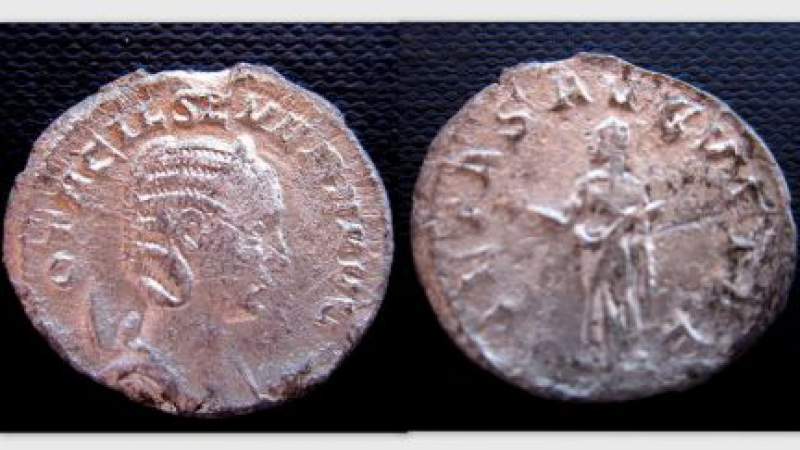 Otacilia.jpg