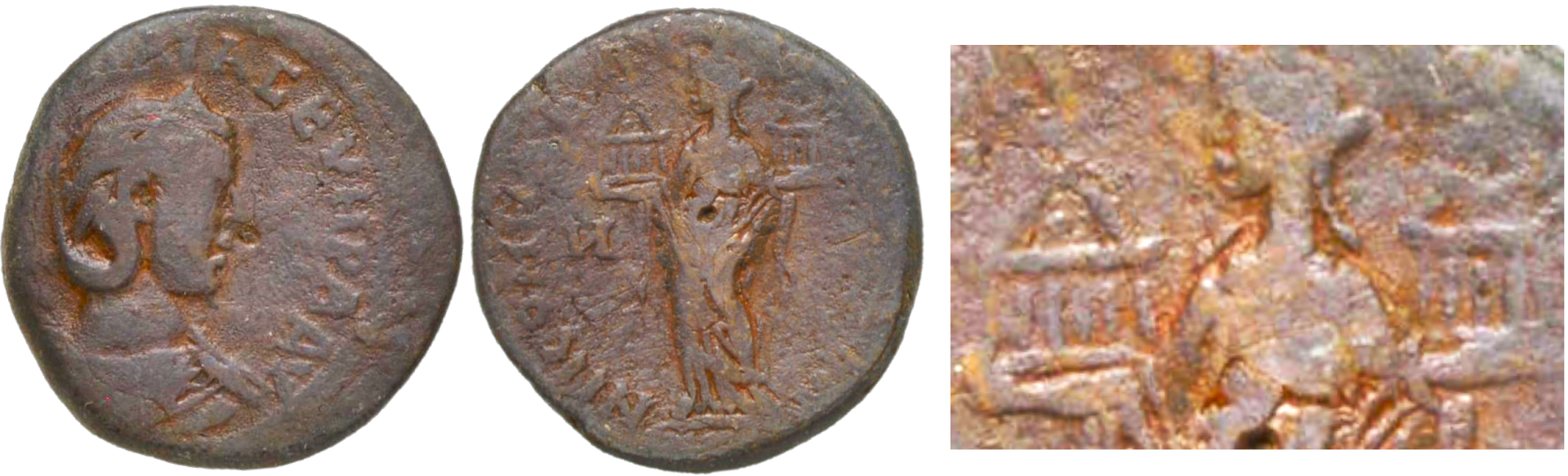 Otacilia Nicomedia Lindgren 177 w Detail.png