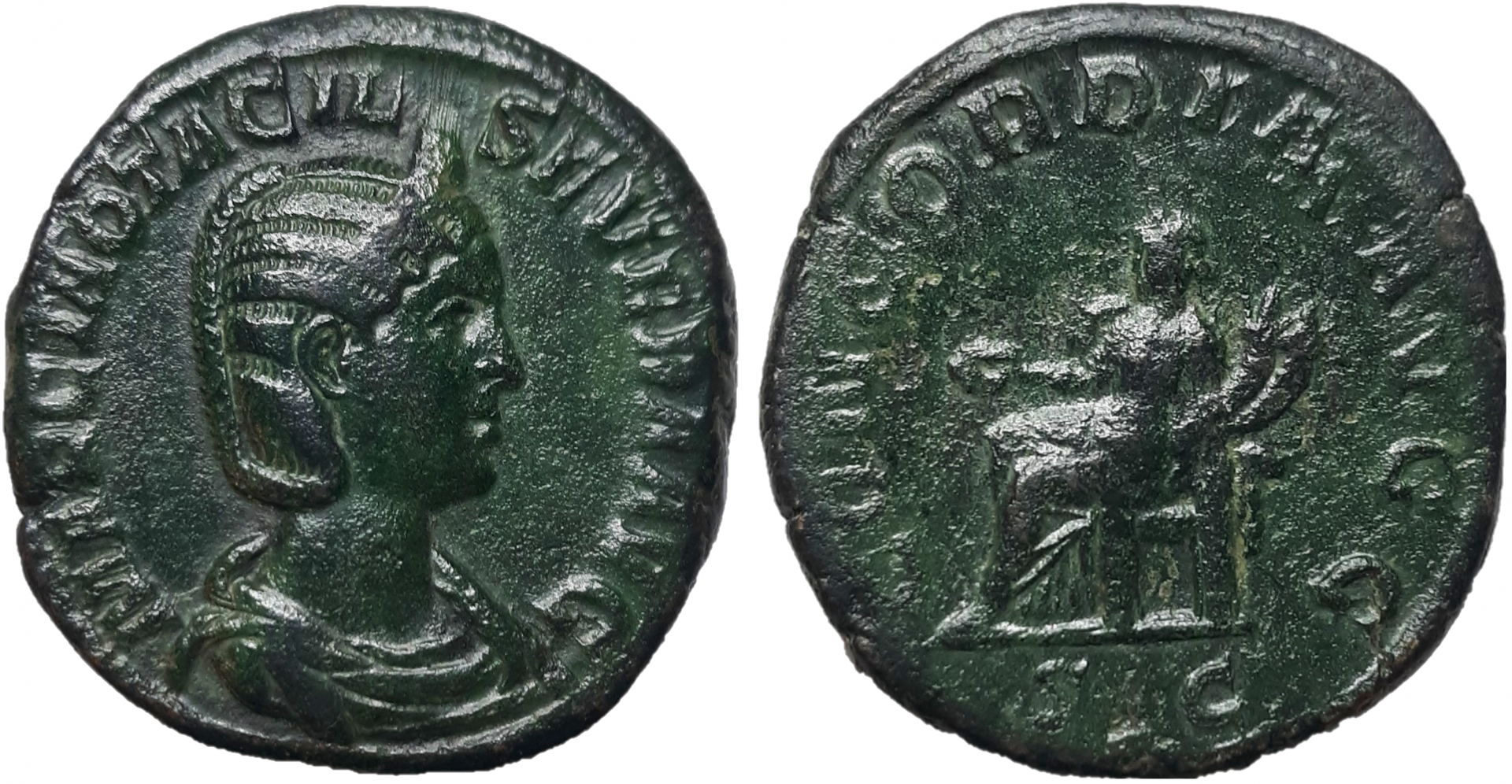Otacilia Sestertius Salton Earle Tr1.png