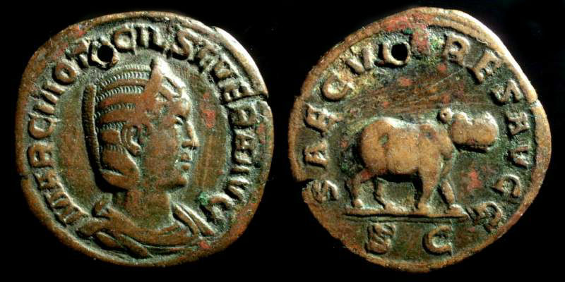 OTACILIA SEVERA 2.jpg