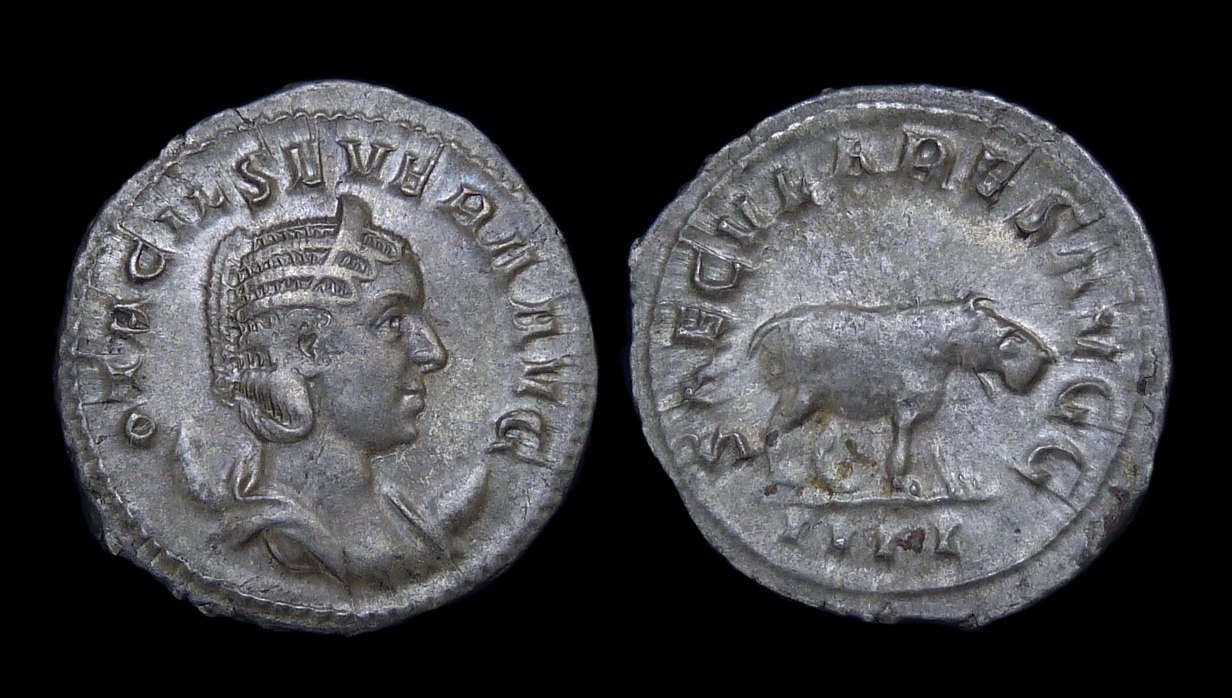 Otacilia Severa - Ant Hippo 3270.jpg