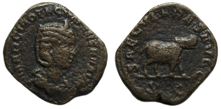 Otacilia Severa Hippo 1.jpg