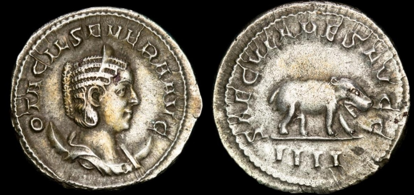 Otacilia Severa hippo COMBINED IMAGE.jpg