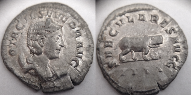 Otacilia Severa hippo.png