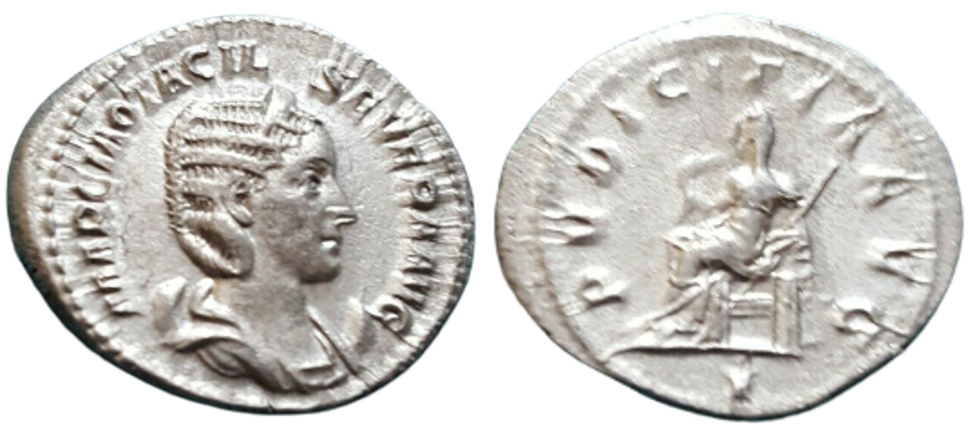 otacilia severa pvdicitia avg i.png