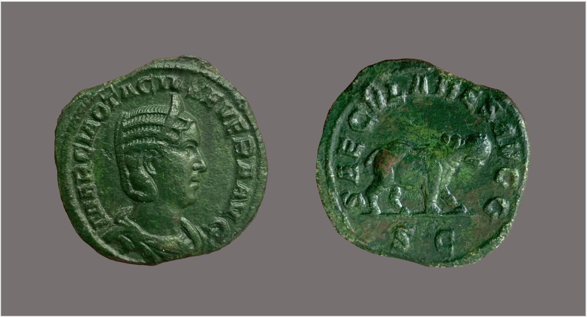 Otacilia Severa sestertius hippo.jpg