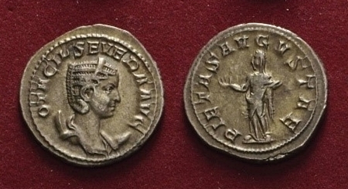 Otacilia1-side.jpg