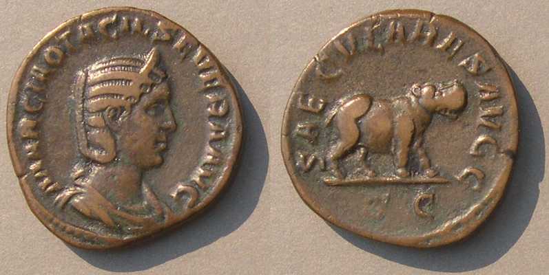 OtaciliaSevera3sestHippo8323.jpg