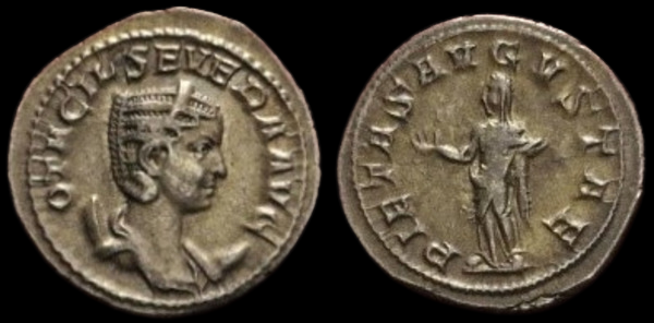 Otacilla5.png