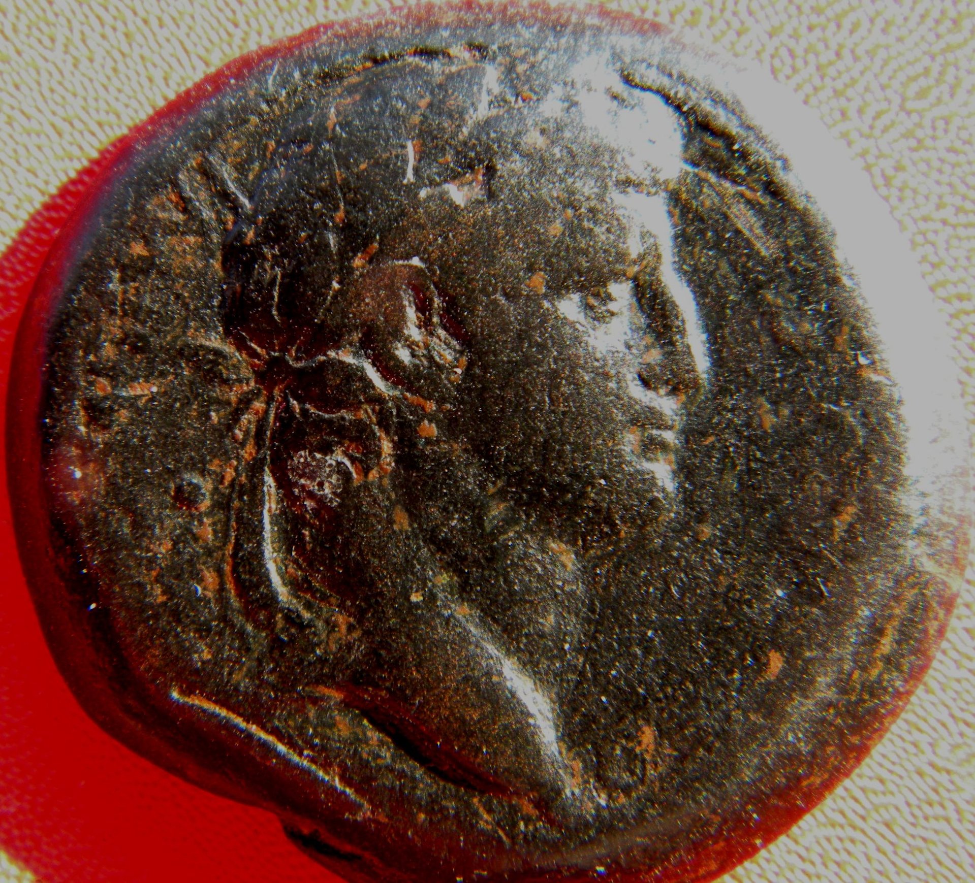 OTHO AE.jpg