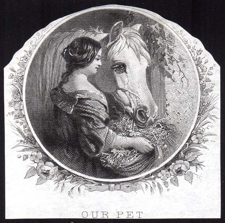 Our Pet horse vignette proof.jpg