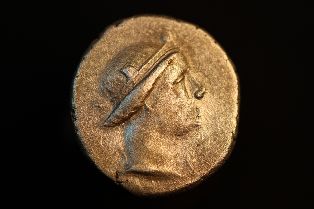 owl 001.JPG