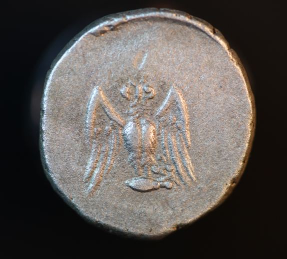 owl 004_opt.jpg