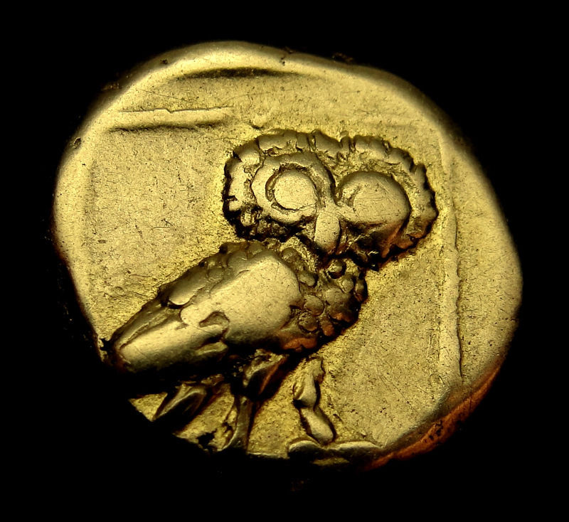 Owl Electrum.jpg