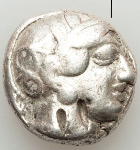 owl front.jpg