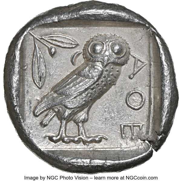 Owl.jpg
