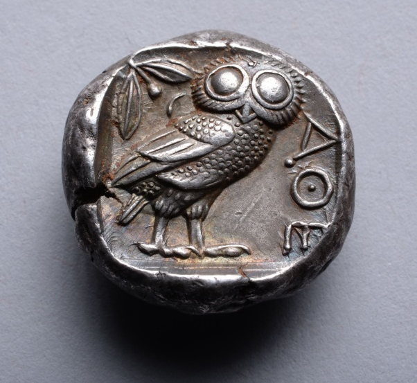 owl.PNG