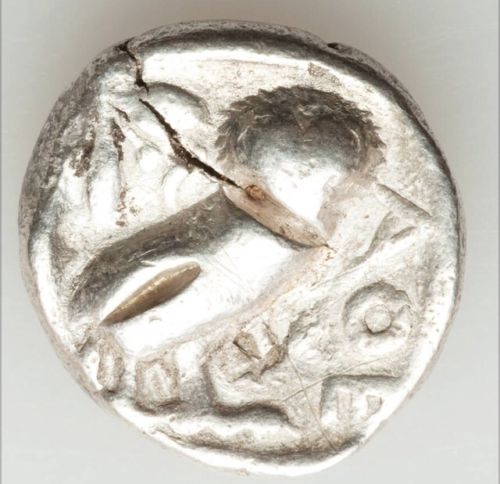 Owl Rear.jpg