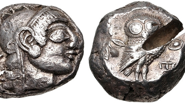 Owl01.jpg