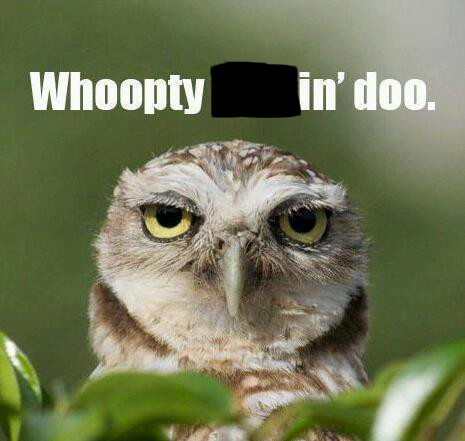 owl_does_whoopty_doo.jpg