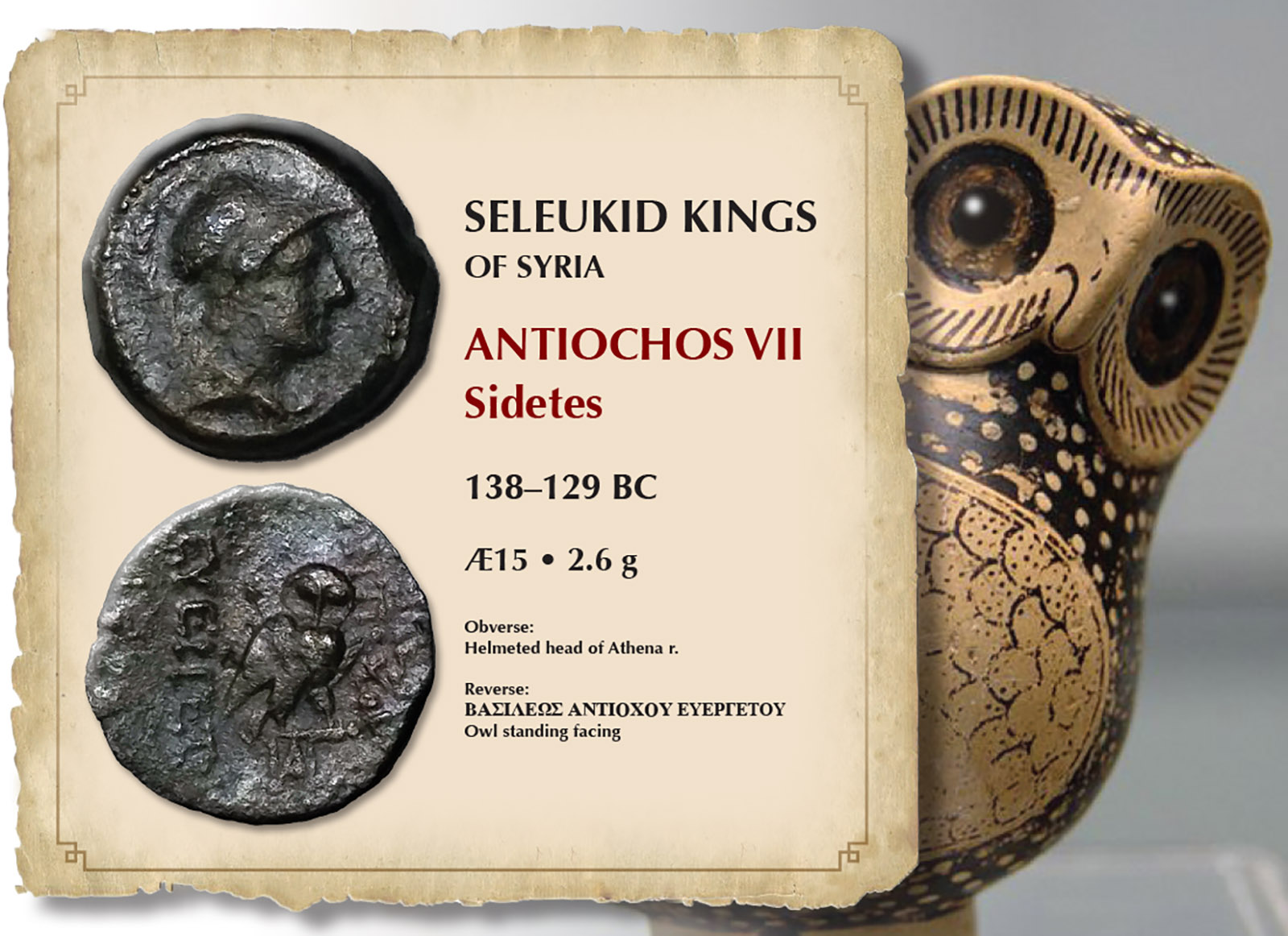 OWL_SATURNALIA.jpg