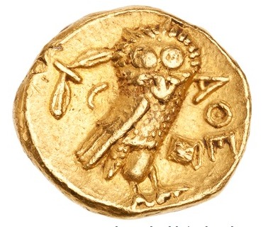 owl_stater.jpg