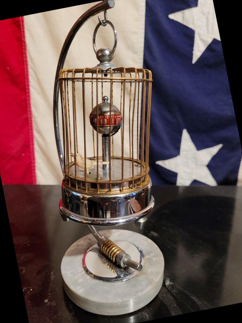 p bird cage full.jpg